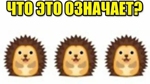 Тая ежик
