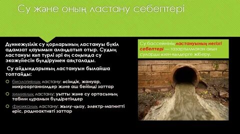 Той алдындағы секс порно онлайн