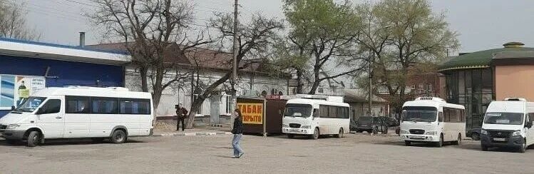 Автобус донецк. Пассажирские перевозки донецк. Таганрог новоазовск автобус. Такси новоазовск. Староминская-тимашевская до ейска.