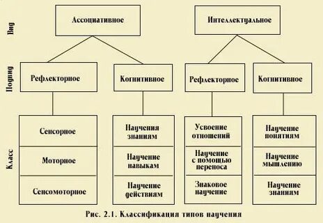 Выберите виды научения