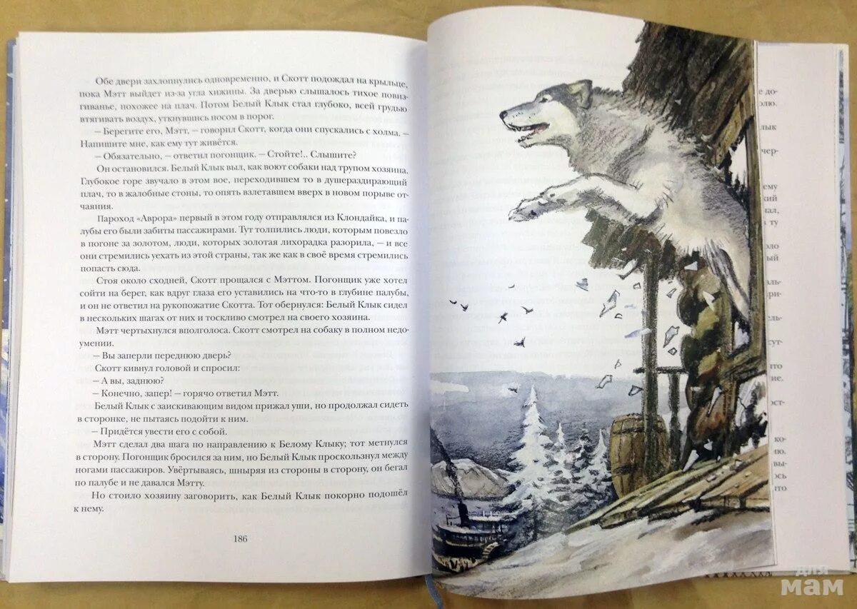 Белый клык содержание. Издательство нигма белый клык. книга белый клык нигма. белый клык джек лондон кичи. белый клык лондон нигма.