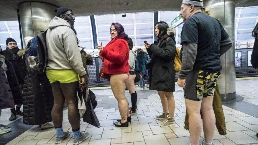 В метро без штанов. Жена без штанов. No pants subway ride 2014. No pants subway ride москва. Международная акция no pants subway ride.