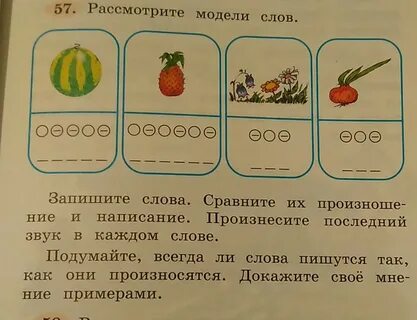 Сколько слов в слове лук