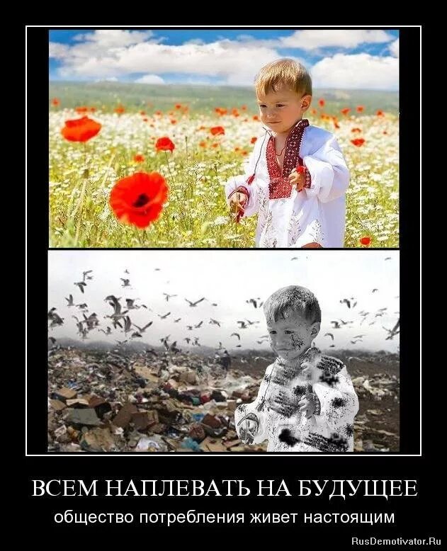 Мы живем в обществе мем. Общество потребления демотиваторы. Экология демотиватор. Демотиваторы про экологов. Демотиваторы про природу