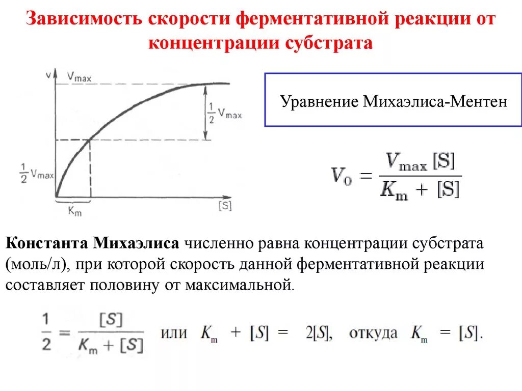 Зависимость ферментов от концентрации субстрата. Скорость ферментативной реакции зависит от концентрации субстрата. График зависимости скорости реакции от концентрации субстрата. Зависимость скорости реакции от концентрации фермента и субстрата. График зависимости скорости реакции от концентрации фермента.