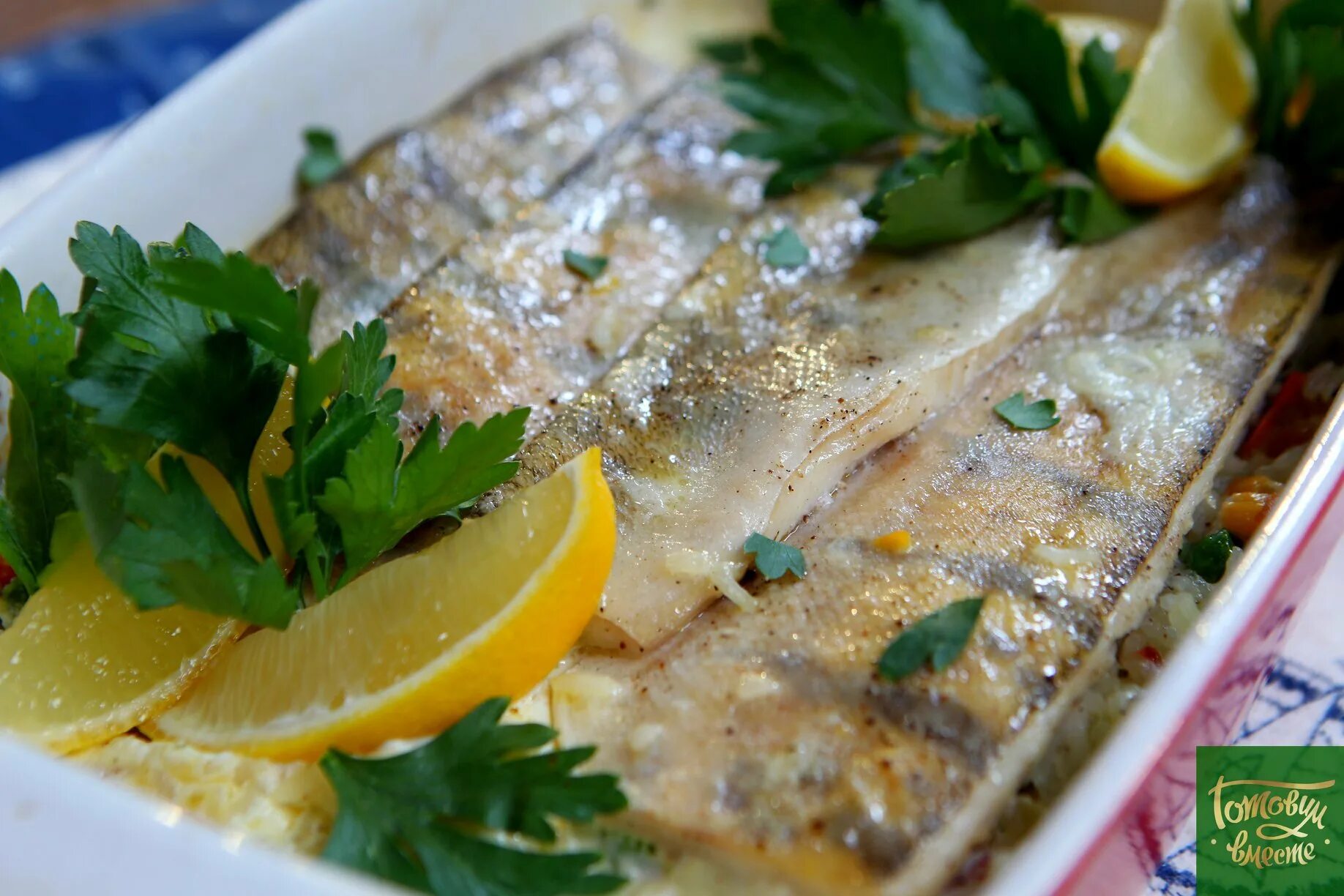 Судак как приготовить вкусно. Филе дорадо. дорадо в духовке. судак рыба филе. филе дорадо с ризотто.