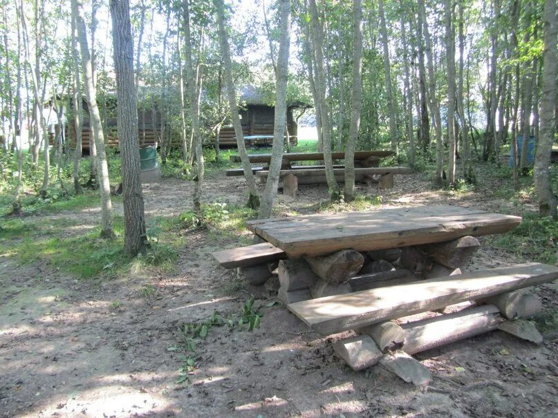 Кипень царская. Царская рыбалка в Кипени. Царская рыбалка, деревня нижняя Кипень. Озеро Кипень Ломоносовский район. База отдыха Царская рыбалка Кипень.