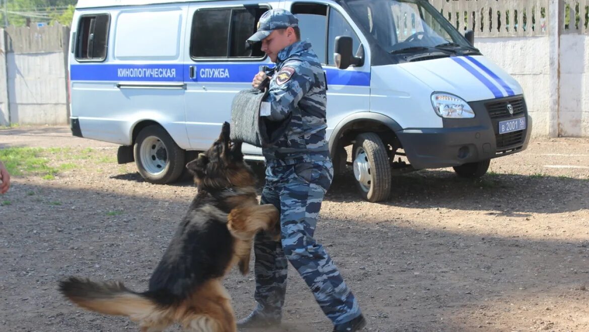 Кинологическая служба россии. Кинологическая служба ППСП МВД. Полиция РФ Кинологическая служба. Кинологическая служба машина.