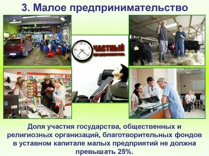 Том что предприятия малого бизнеса