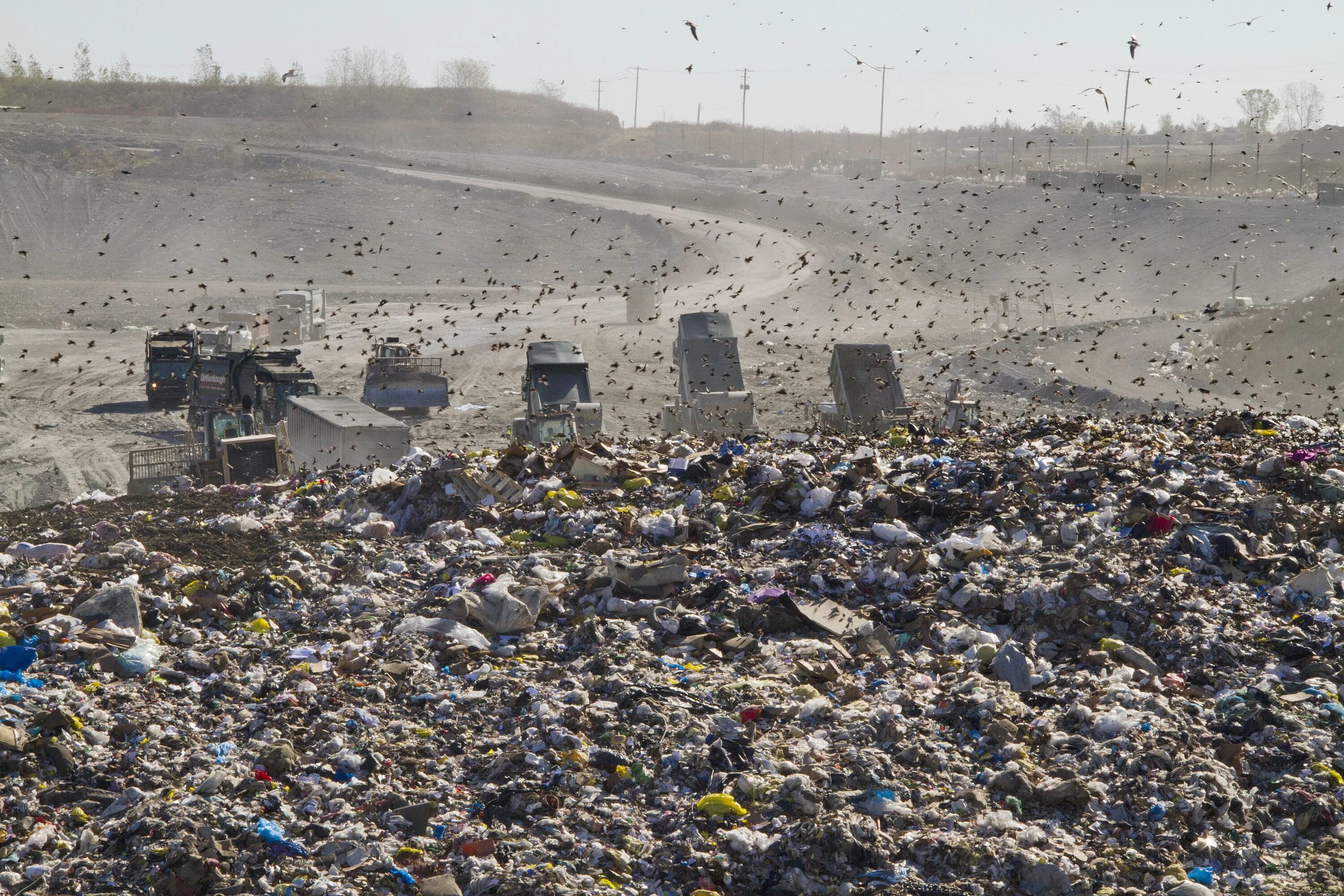 Dump tmp