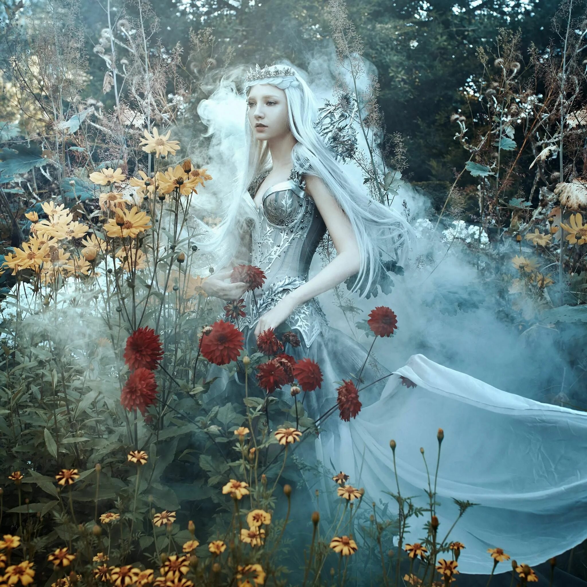 Сказочные фото. Белла котак фотограф. Фотограф Белла котак Bella kotak. Белла котак - фотохудожник. Сказочные портреты девушек Bella kotak.