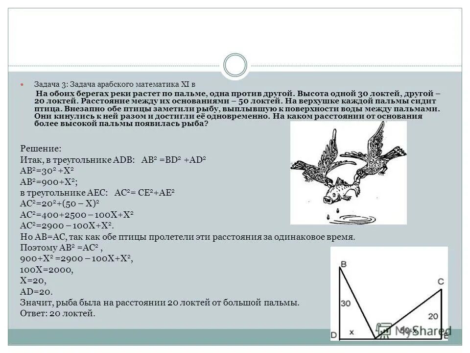 Задача арабского математика xi в на обоих. На обоих берегах реки растет по пальме. На обоих берегах реки растет по пальме одна против другой. Вода в клетке человека. На обоих берегах реки растет по пальме.