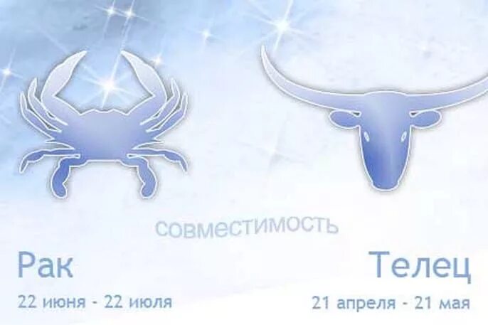 Скорпион и телец вместе. Совместимост скорпион и елец. Телец и скорпион совместимость. Мужчина телец и женщина скорпион совместимость. Совместимость телец скорпион брак.