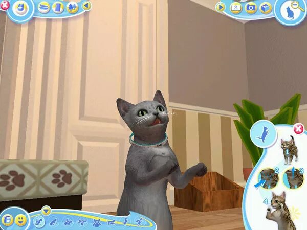 Игра Catz 2. Petz Catz и Dogz 2. Petz Catz и Dogz игра. Petz (Catz и Dogz). Игры ухаживать за кошками