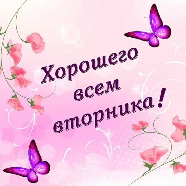Открытки с добрым утром вторника прикольные. Картинки с добрым вторником прикольные. Вторник картинки прикольные. Картинки с добрым вторником прикольные. Открытки доброе утро прикольные.
