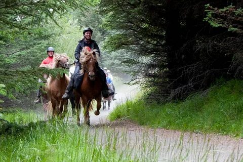 They are riding