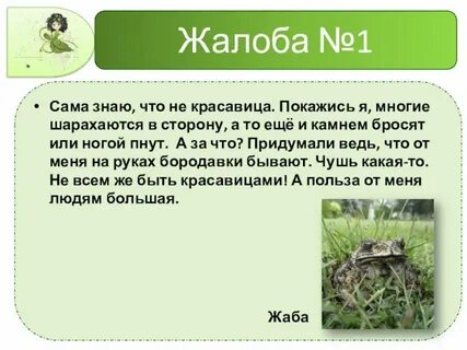 Пожаловалась 3