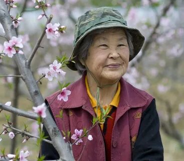 Пожилые японские женщины фото - картинки фотографии