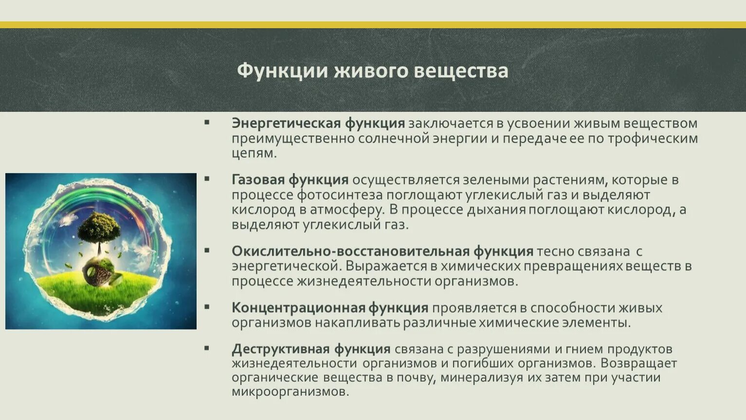 Функции живого вещества в биосфере. Роль живого вещества в биосфере. Функции живых организмов в биосфере. Функции живого вещества.