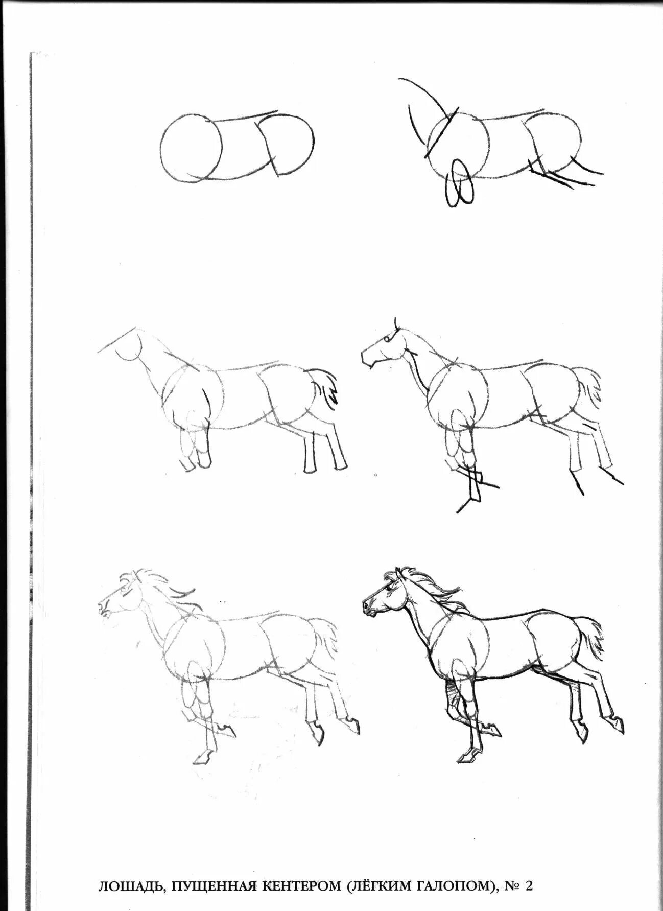 Поэтапное рисование лошади. Схема рисования лошади для детей. Лошадь скетч. Лошадь рисунок карандашом.