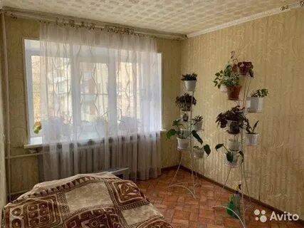 1 комнатные в александрове