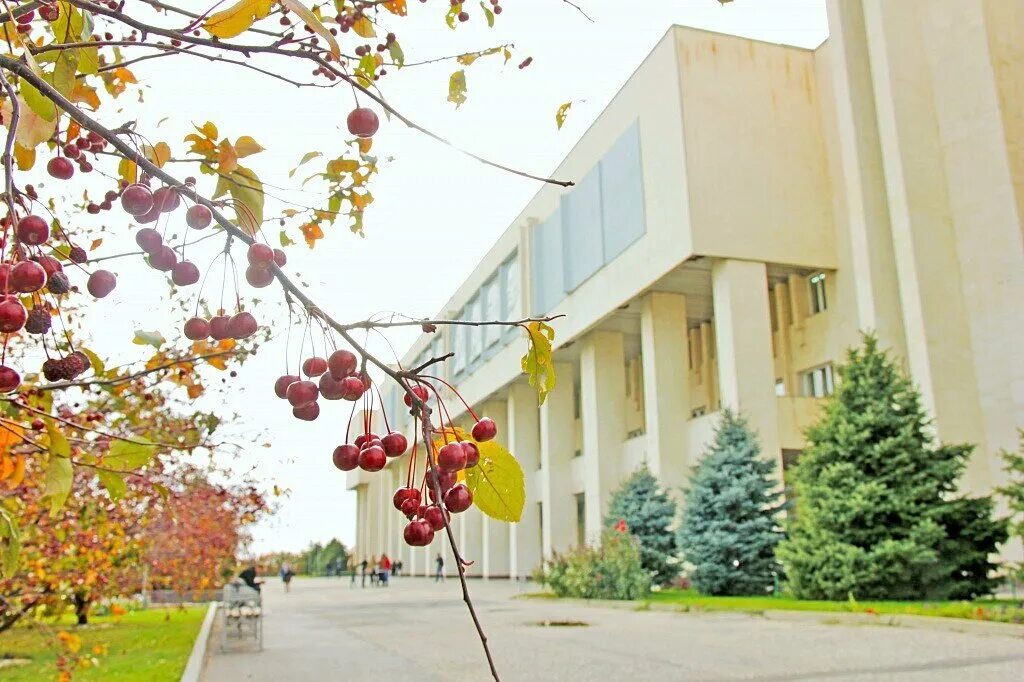 Фото волгоградского государственного университета. Волгоградский государственный университет. Волгоградская Волга. Волгоград Волга. ВГУ Волгоград.