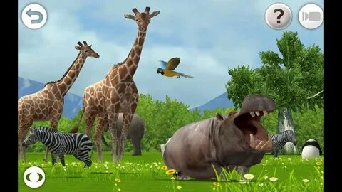 Animal 1 d