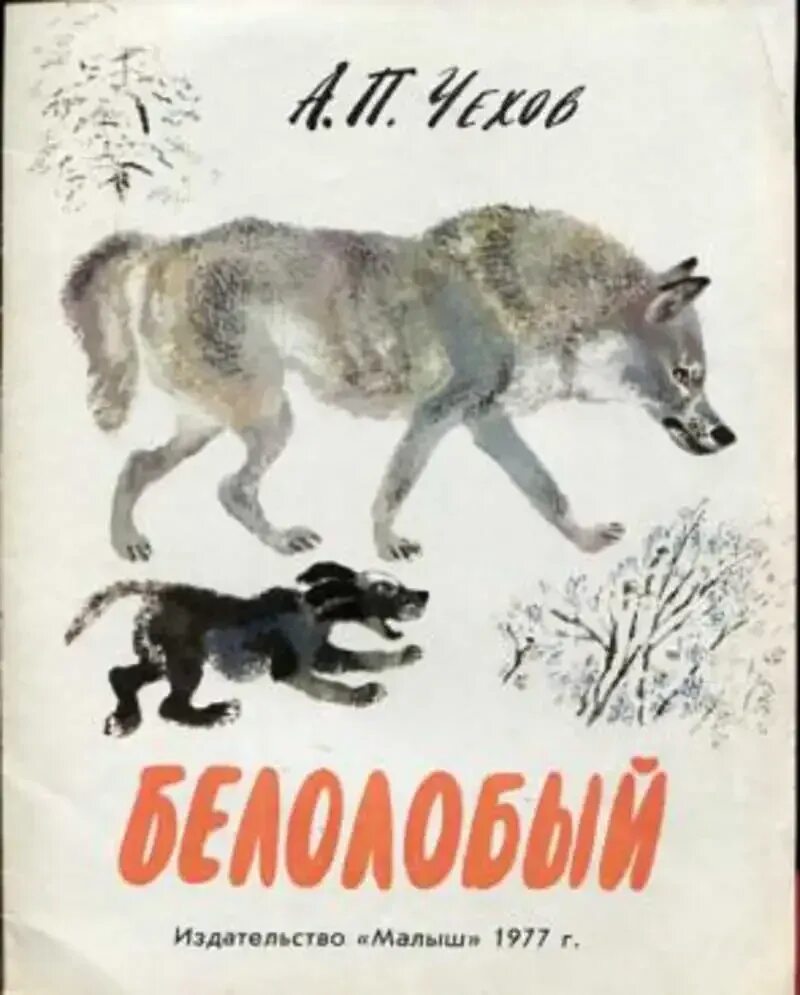 Чехов а.п. "белолобый". А.П.Чехов «белолобый» 1959г. Чехов белолобый иллюстрация.