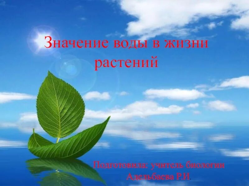 Тема жизнь растений. Образ жизни растений. Темы для презентации по жизни. Жизнь растений.. Музыка в жизни растений.