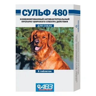Антибактериальные капли для собак