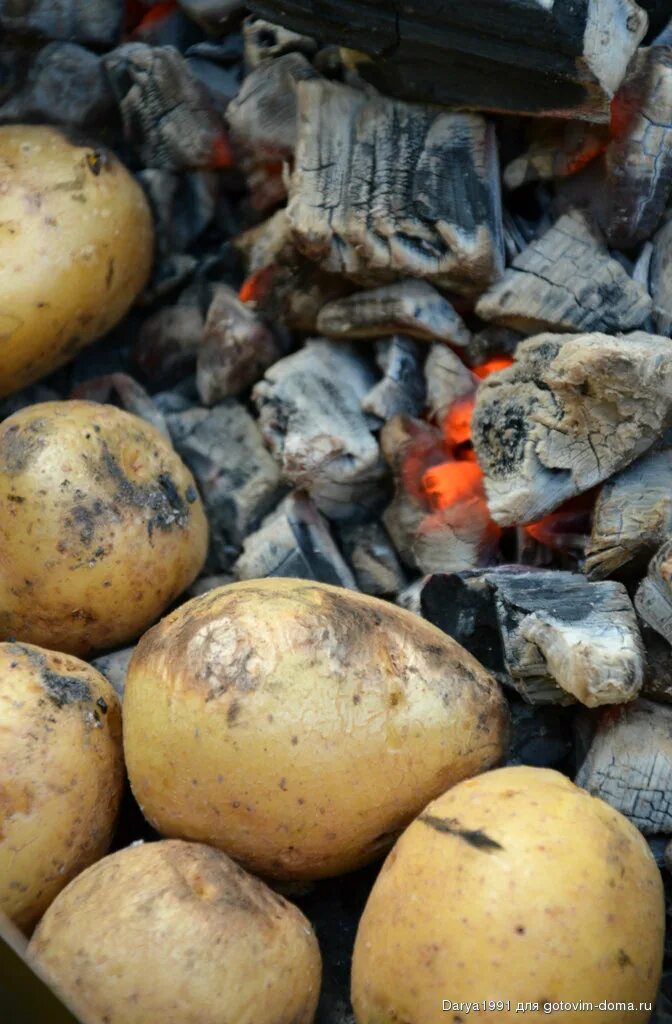 Картошка в углях сколько времени. Картофель на костре. Печеный картофель на костре. Картошка на углях. Печеная картошка в углях.