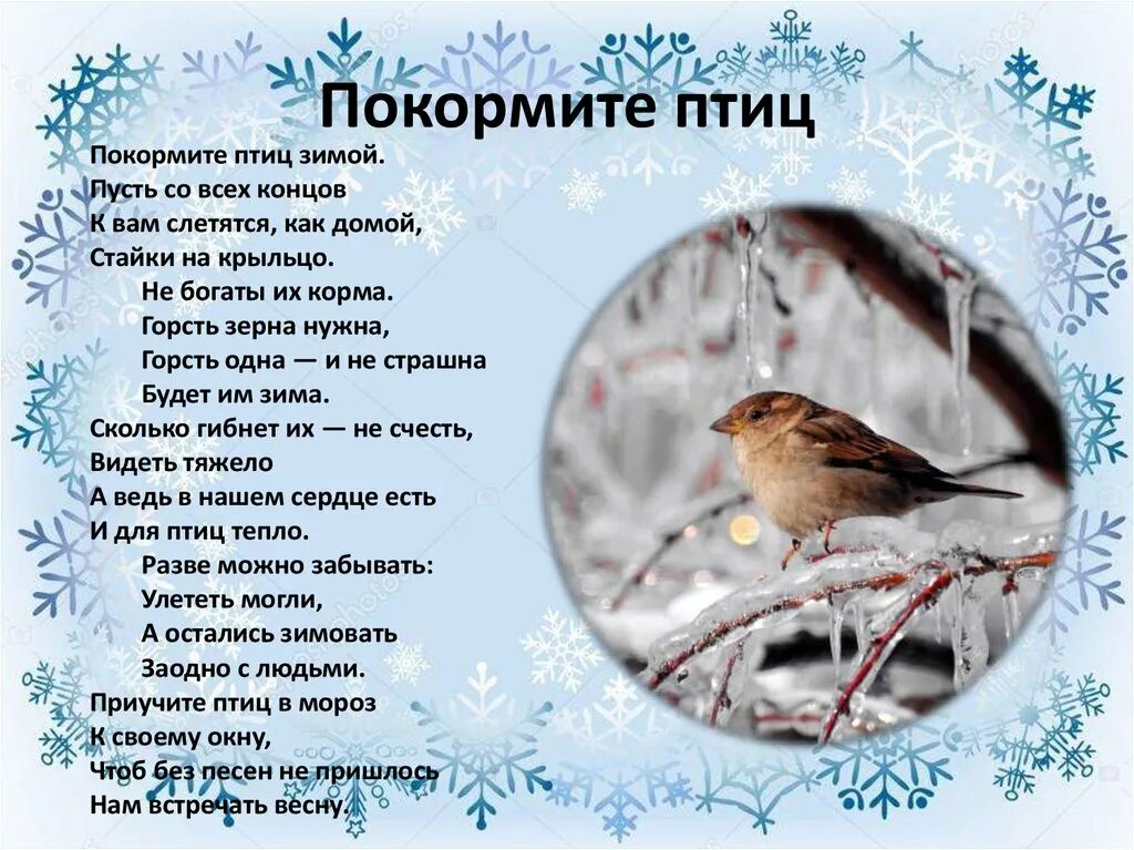 стихотворение яшина покормите птиц. презентация для детей зимующие птицы. расскажите детям о зимующих птицах. зимующие птицы. загадки про зимующих птиц для дошкольников.
