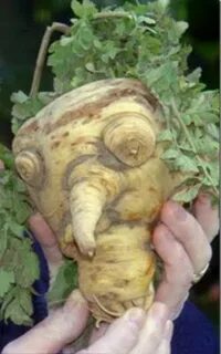 Какой нибудь овощ