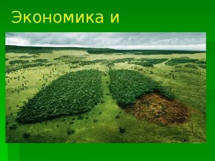 Легкими планеты земля называют