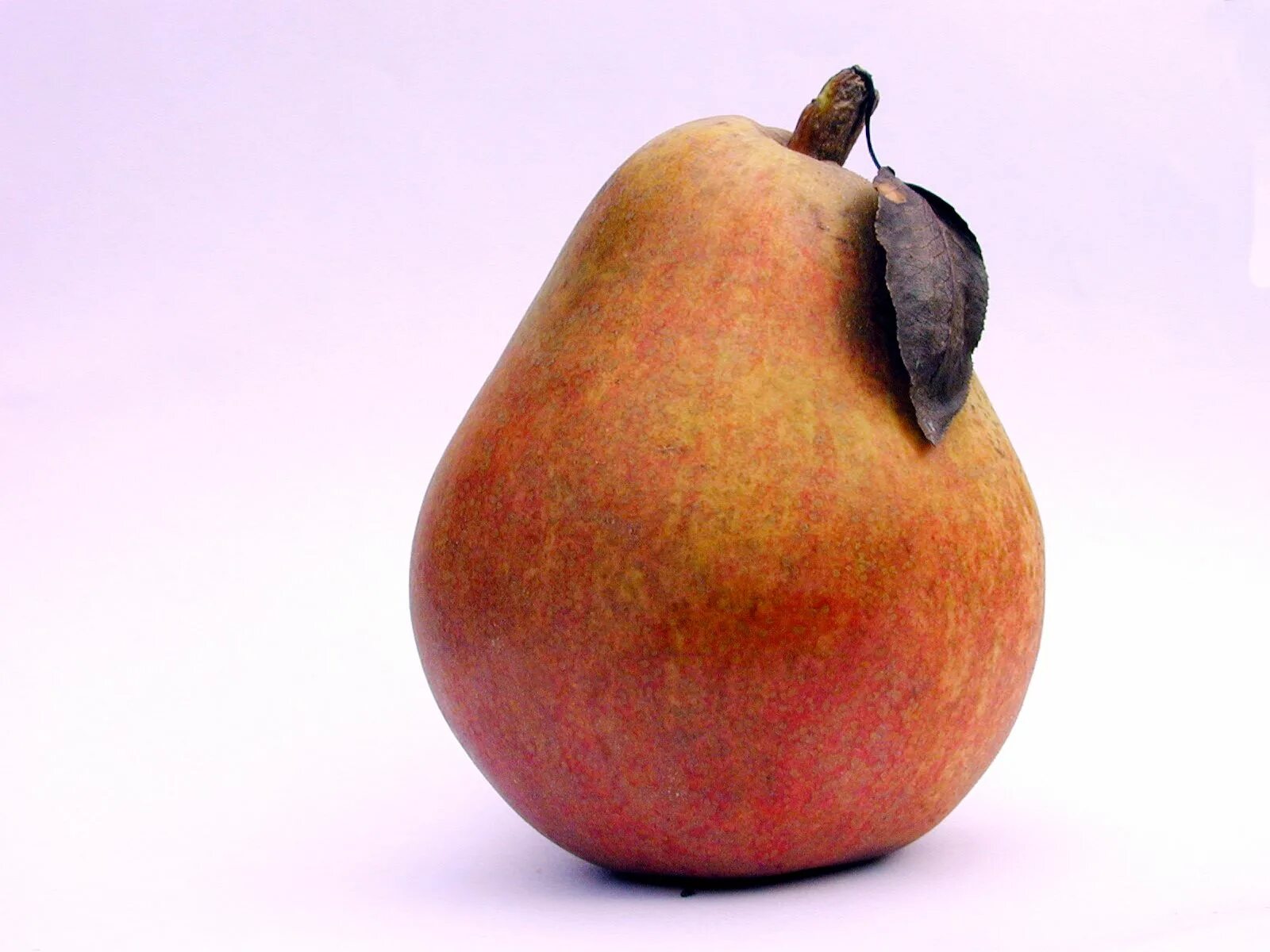 Orange pear. Груши Триумф. Груша Триумф Виенны. Груша фрукт. Груша для детей.