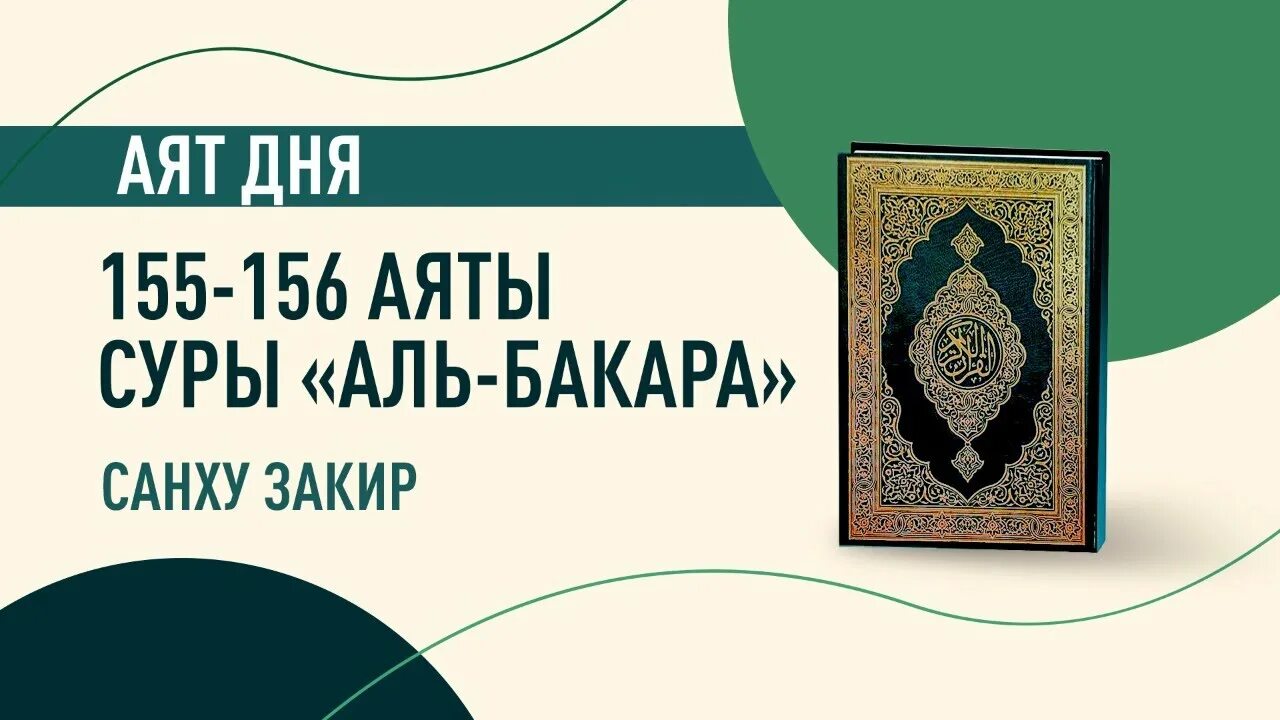 Слушать бакара сура корана. Сура Бакара аят 155 156. 156 Аят. Сура корова 156 аят. 175 Аят.