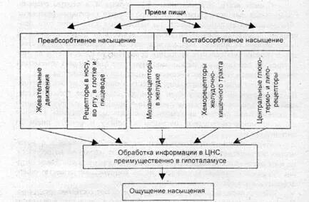 Ощущения насыщения
