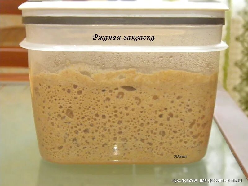 Готовим ржаную закваску. Готовим ржаную закваску