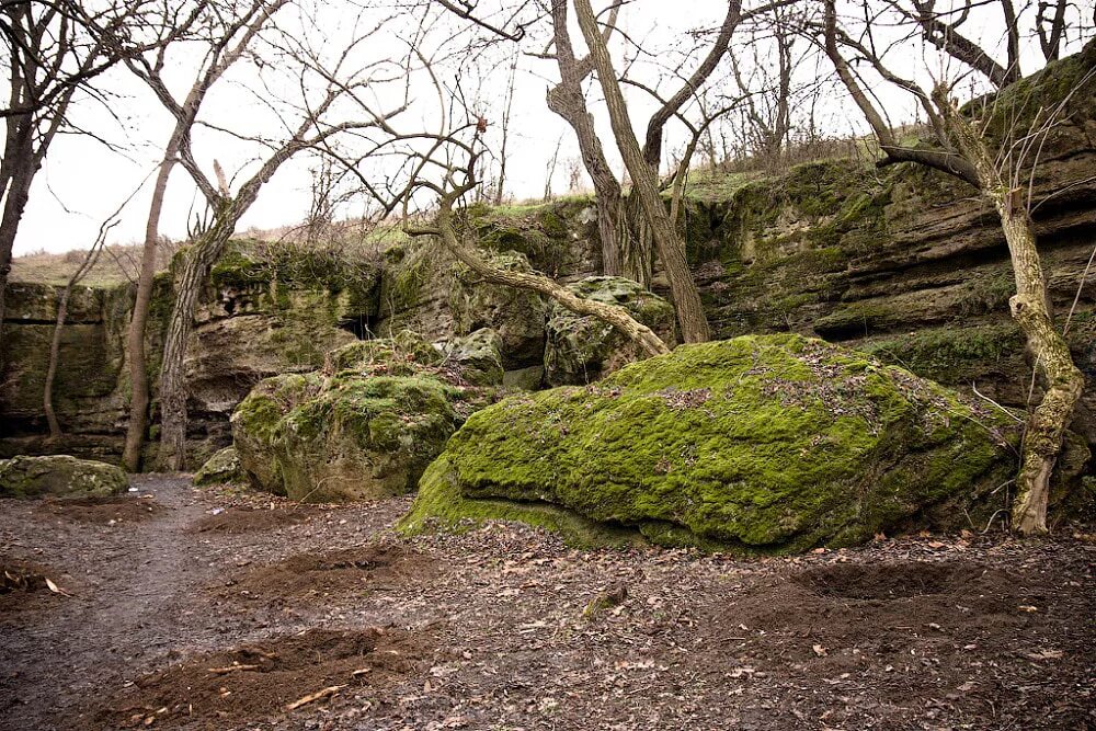 Плачущая скала пожарское. Село водное плачущая скала. Плачущая скала (заказник). Симферополь водопад плачущая скала. Плачущая скала симферополь.