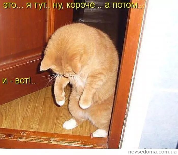 Ой извини не то