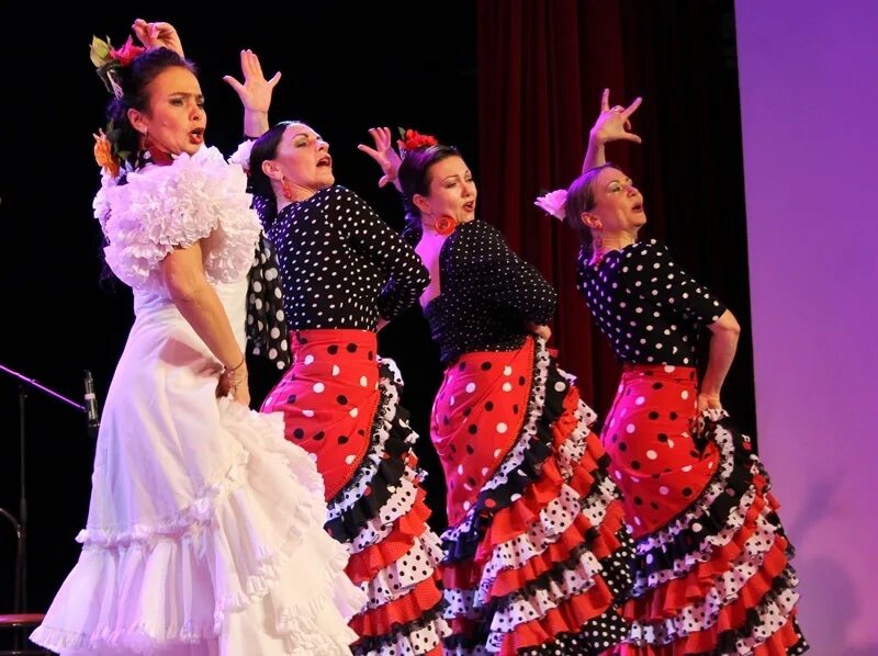 Автозаводская 2 фламенко. Фламенко костюм. Юбка для фламенко. Фламенкерия дом фламенко. Магазин фламенко.