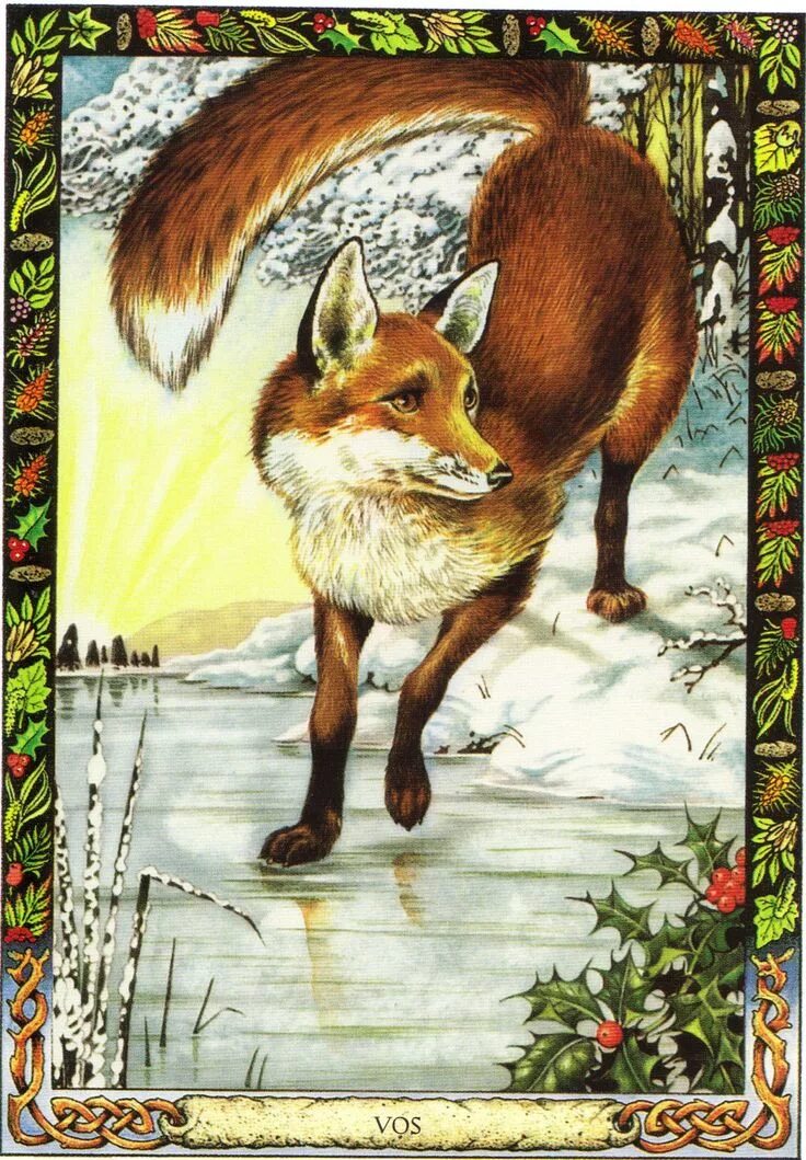 Оракул животных друидов (druid animal oracle). Оракул лис. Таро лисы. Foxfire таро. Оракул лисы галерея.