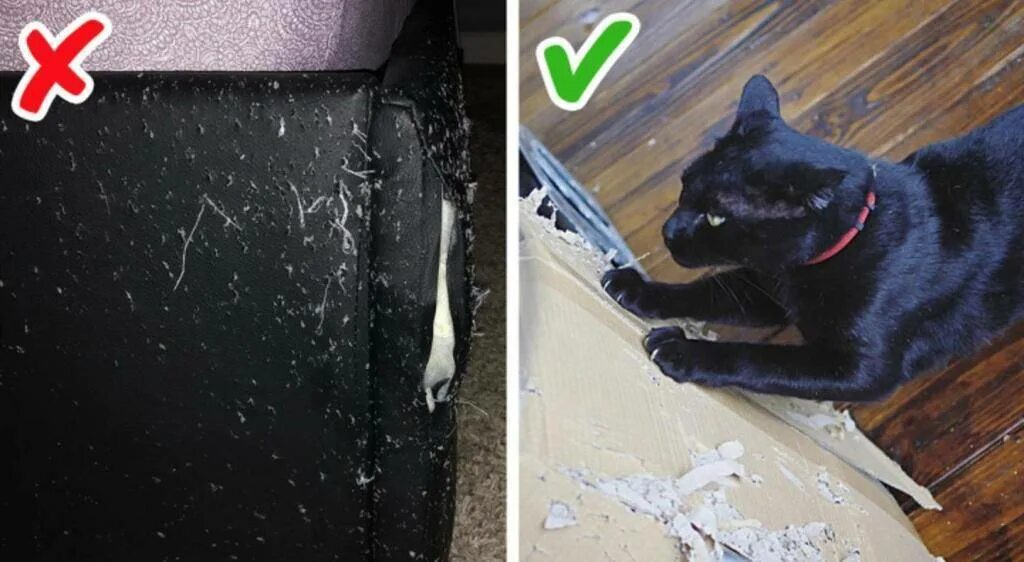 Гадить по углам