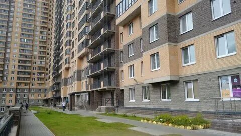 Федора абрамова 18