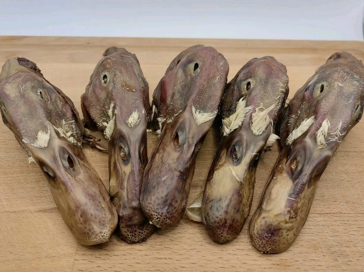 Утиные головы. Утка голова. Маска с утками. Утиные головы. Утиные головы.