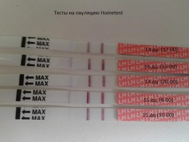 Тест на овуляцию. Тест на овуляцию положительный. Тесты на овуляцию по дням. Положительный тест на овуляцию фото. Овуляция на тесте как понять