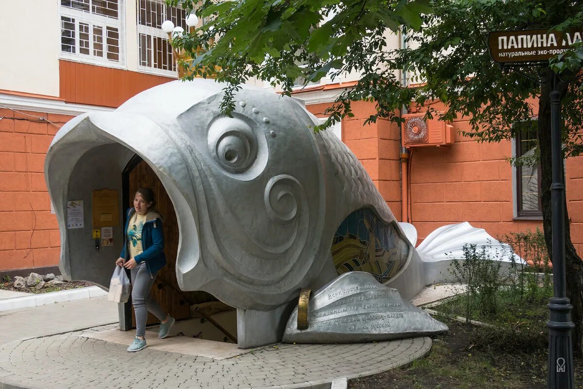 рыбки воронеж. рыбка воронеж. золотая рыбка магазин рыбы. рыбки воронеж. рыбки в океанариуме воронеж.