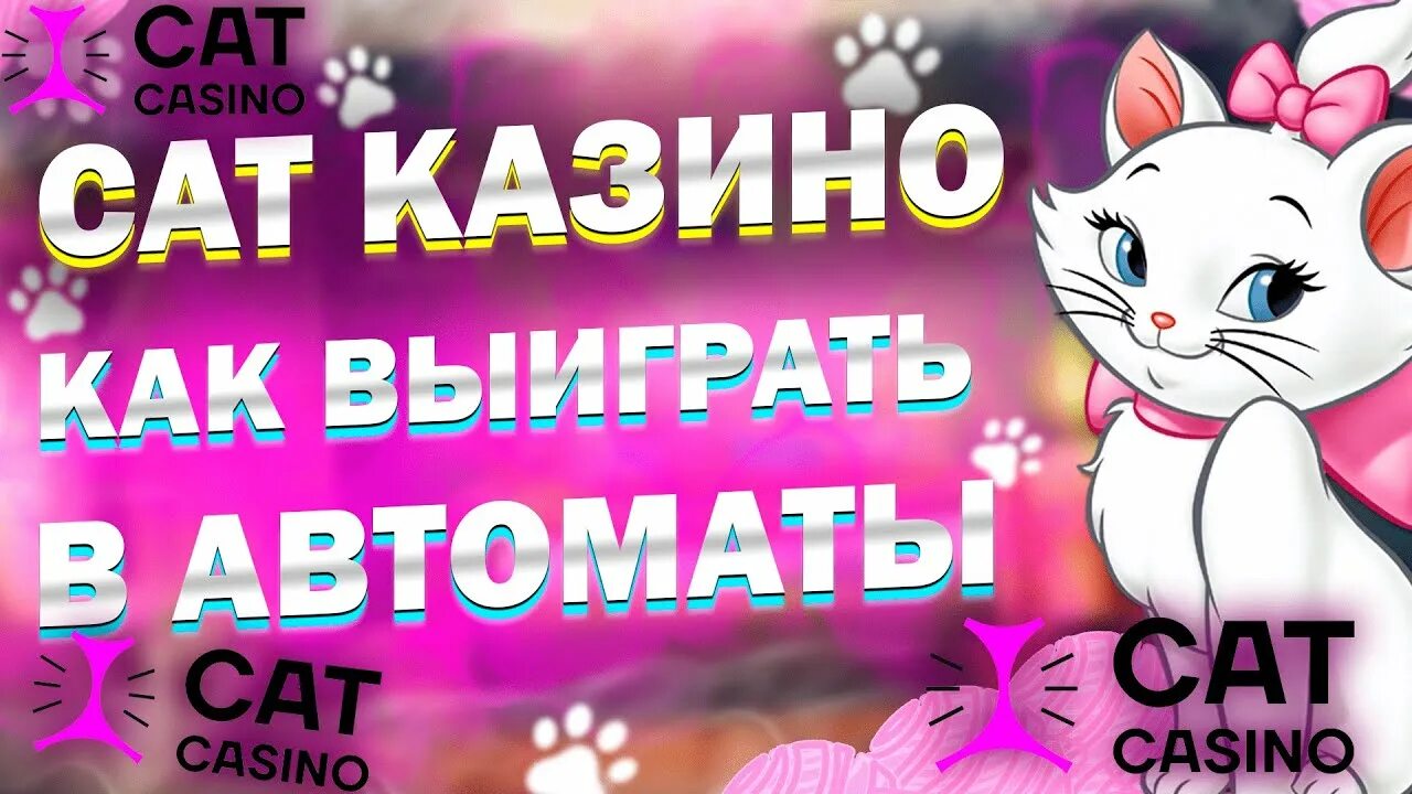 Cat casino сайт catlicenserealmoney pp ru. Кэт казино. Cat Casino как выиграть. Кэт казино лого. Cat Casino Eric Backman.