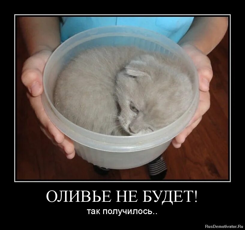 Так получилось