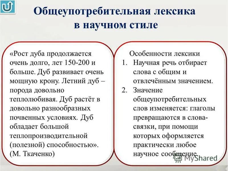 Росток дуб черешчатый. Сибирский кедр дерево описание. Рост дуба продолжается очень. Диаметр кроны дуба черешчатого. Упражнение 581 по русскому языку 5 класс ладыженская.